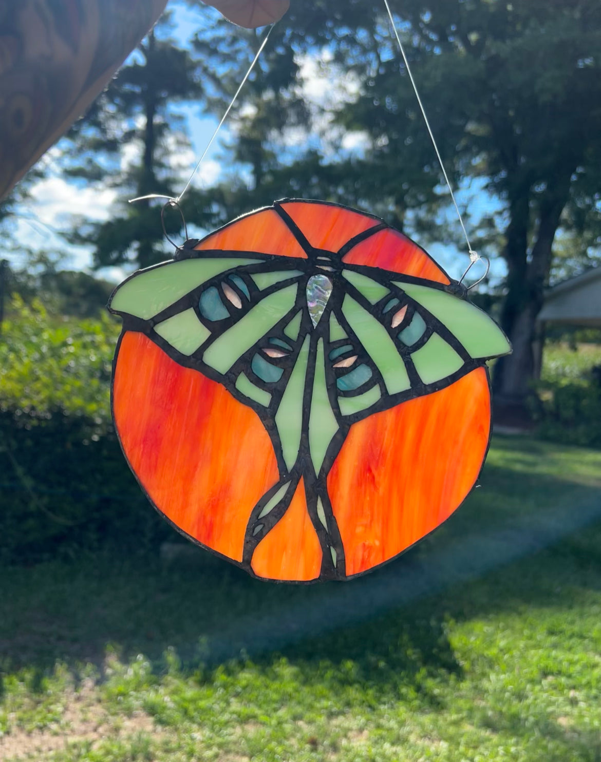 !NEW! Stained glass moth